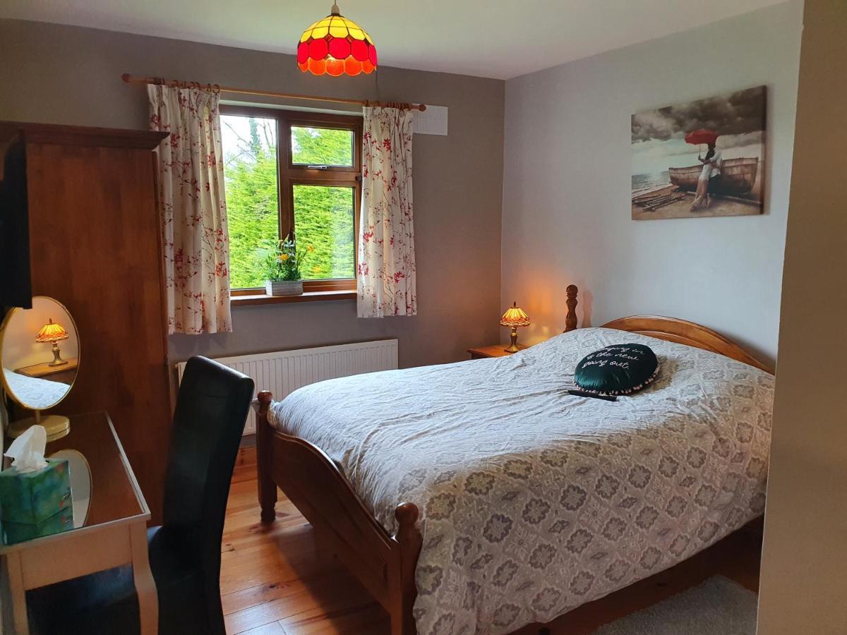 לינה וארוחת בוקר Carrick on Shannon Hillcrest House מראה חיצוני תמונה
