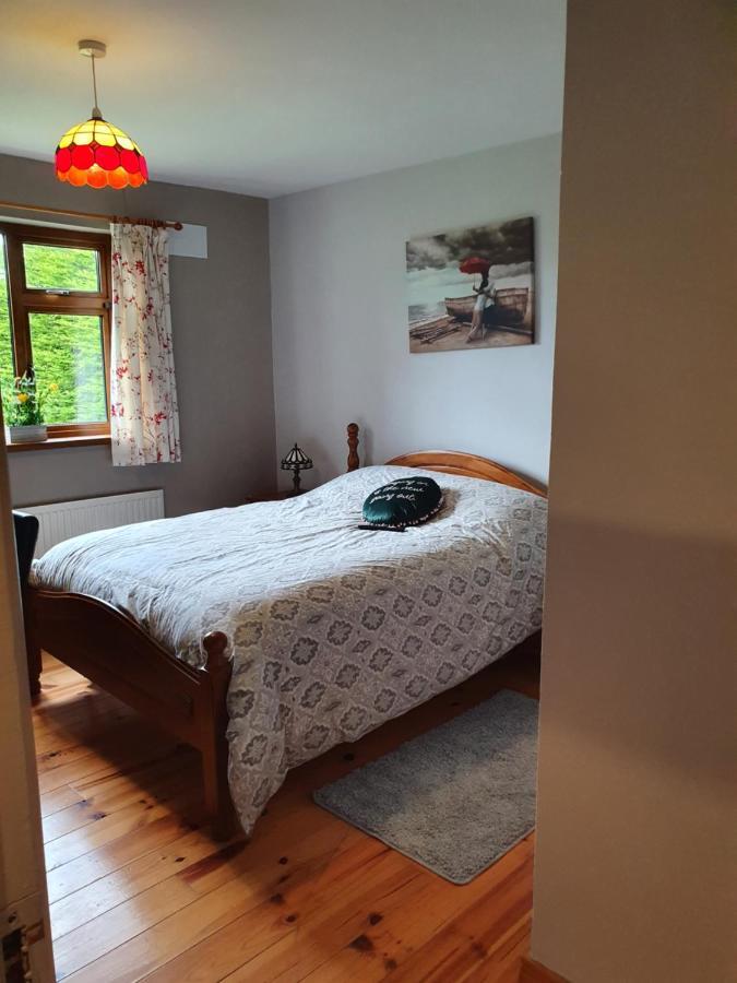 לינה וארוחת בוקר Carrick on Shannon Hillcrest House מראה חיצוני תמונה